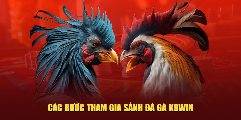 Các bước tham gia đá gà K9Win