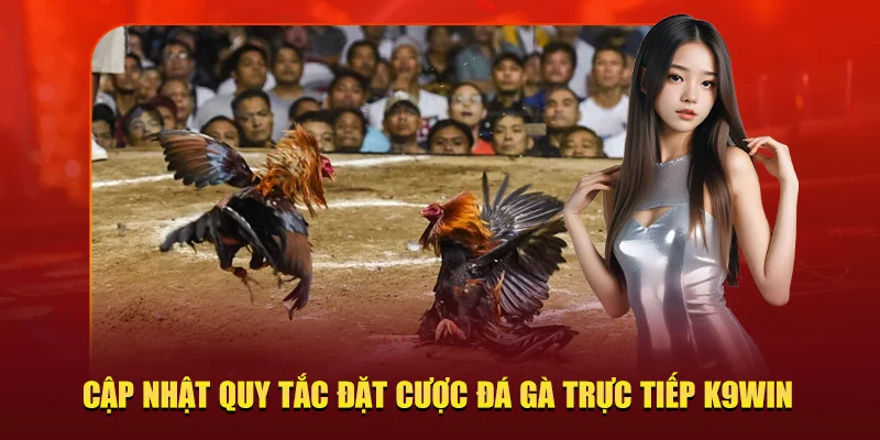 Cập nhật quy tắc đặt cược đá gà trực tiếp K9WIN
