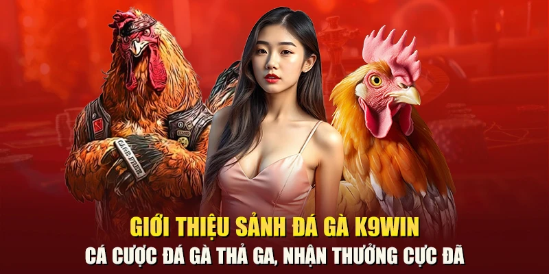 Giới thiệu sảnh đá gà K9Win