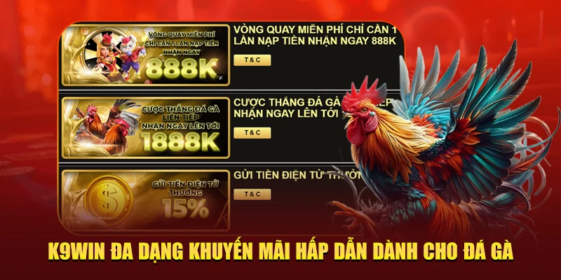 K9Win khuyến mãi đá gà